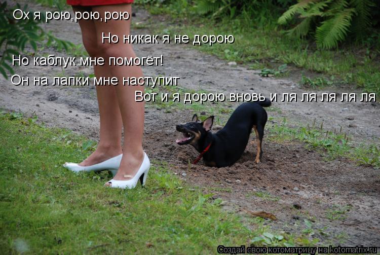 Ох я рою,рою,рою Но никак я не дорою Но каблук мне помогёт! Он на лапки мне наступит Вот и я дорою вн... Котоматрица: Ох я рою,рою,рою Но никак я не дорою Но каблук мне помогёт! Он на лапки мне наступит Вот и я дорою вновь и ля ля ля ля ля