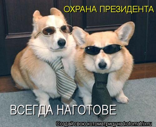 ОХРАНА ПРЕЗИДЕНТА ВСЕГДА НАГОТОВЕ... Котоматрица: ОХРАНА ПРЕЗИДЕНТА ВСЕГДА НАГОТОВЕ