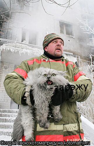 -зарэжу... Котоматрица: -зарэжу
