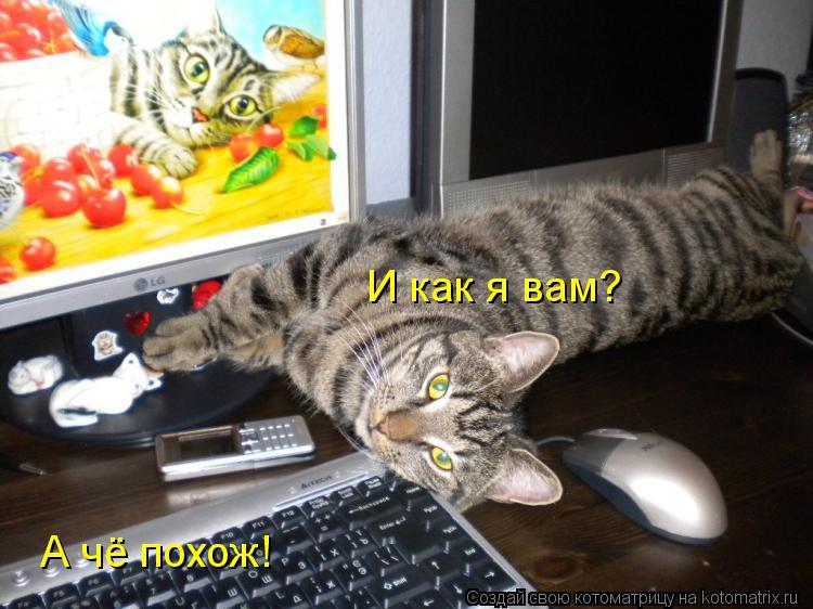 А чё похож! И как я вам?... Котоматрица: А чё похож! И как я вам?