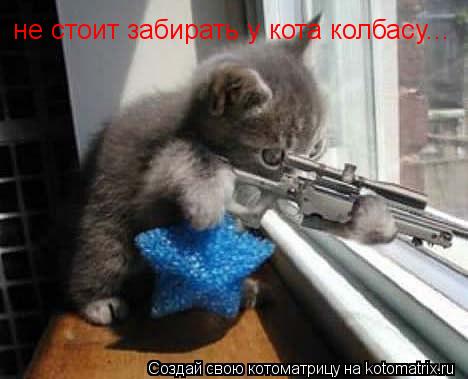 не стоит забирать у кота колбасу...... Котоматрица: не стоит забирать у кота колбасу...