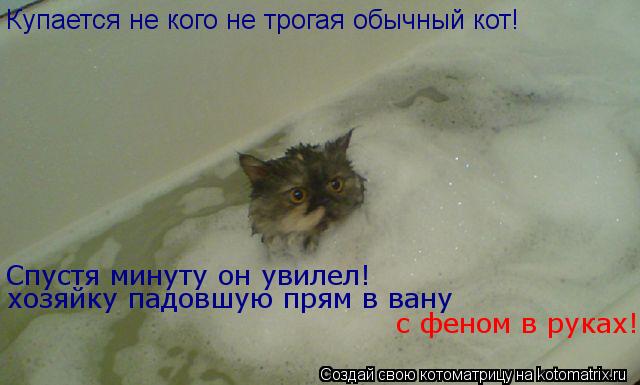 Купается не кого не трогая обычный кот! Спустя минуту он увилел! хозяйку падовшую прям в вану с феном... Котоматрица: Купается не кого не трогая обычный кот! Спустя минуту он увилел! хозяйку падовшую прям в вану с феном в руках!