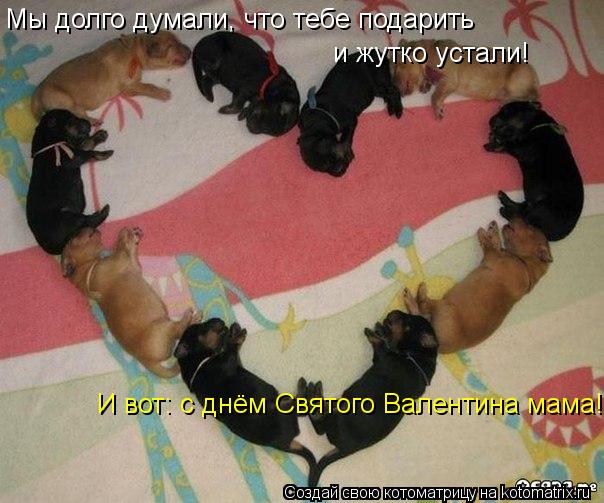 Мы долго думали, что тебе подарить Мы долго думали, что тебе подарить и жутко устали! И вот: с днём С... Котоматрица: Мы долго думали, что тебе подарить Мы долго думали, что тебе подарить и жутко устали! И вот: с днём Святого Валентина мама!