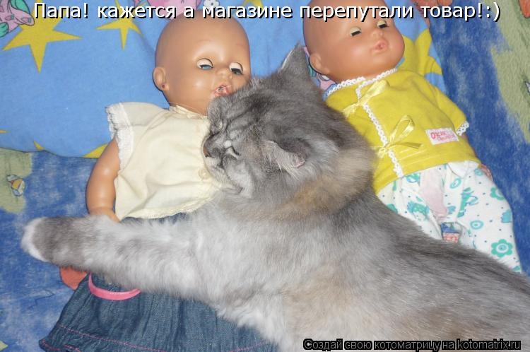 Папа! кажется а магазине перепутали товар!:)... Котоматрица: Папа! кажется а магазине перепутали товар!:)