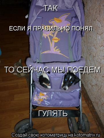 ТАК ТО СЕЙЧАС МЫ ПОЕДЕМ ГУЛЯТЬ ЕСЛИ Я ПРАВИЛЬНО ПОНЯЛ... Котоматрица: ТАК ТО СЕЙЧАС МЫ ПОЕДЕМ ГУЛЯТЬ ЕСЛИ Я ПРАВИЛЬНО ПОНЯЛ
