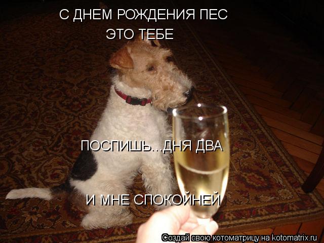 С ДНЕМ РОЖДЕНИЯ ПЕС ЭТО ТЕБЕ ПОСПИШЬ...ДНЯ ДВА И МНЕ СПОКОЙНЕЙ... Котоматрица: С ДНЕМ РОЖДЕНИЯ ПЕС ЭТО ТЕБЕ ПОСПИШЬ...ДНЯ ДВА И МНЕ СПОКОЙНЕЙ