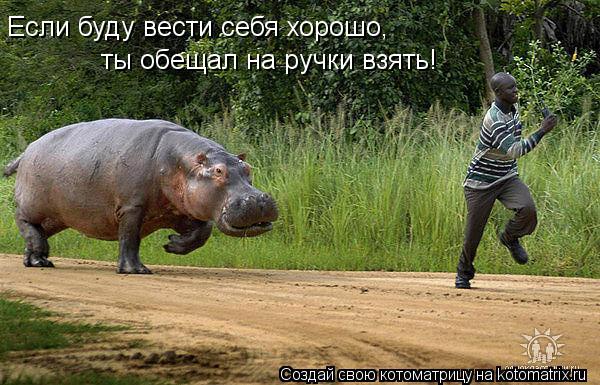 Если буду вести себя хорошо, ты обещал на ручки взять!... Котоматрица: Если буду вести себя хорошо, ты обещал на ручки взять!