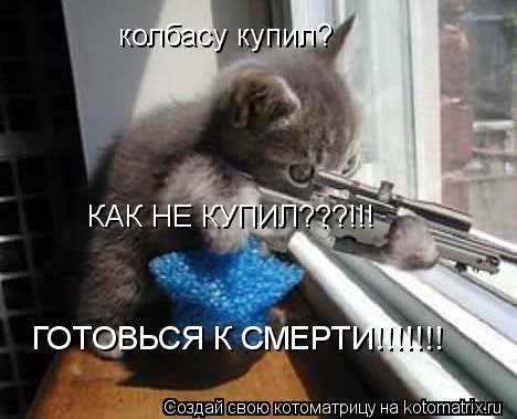 колбасу купил? КАК НЕ КУПИЛ???!!! ГОТОВЬСЯ К СМЕРТИ!!!!!!!... Котоматрица: колбасу купил? КАК НЕ КУПИЛ???!!! ГОТОВЬСЯ К СМЕРТИ!!!!!!!