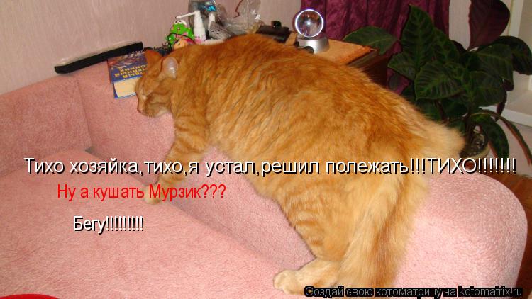 Тихо хозяйка,тихо,я устал,решил полежать!!!ТИХО!!!!!!! Ну а кушать Мурзик??? Бегу!!!!!!!!!... Котоматрица: Тихо хозяйка,тихо,я устал,решил полежать!!!ТИХО!!!!!!! Ну а кушать Мурзик??? Бегу!!!!!!!!!