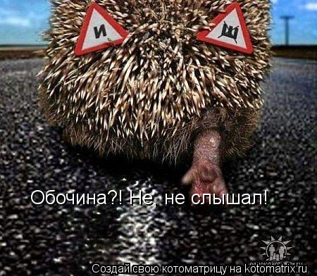 Обочина?! Не, не слышал!... Котоматрица: Обочина?! Не, не слышал!