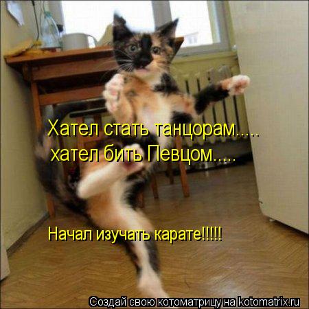 Хател стать танцорам..... хател бить Певцом..... Начал изучать карате!!!!!... Котоматрица: Хател стать танцорам..... хател бить Певцом..... Начал изучать карате!!!!!