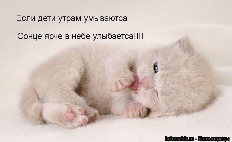 Если дети утрам умываютса Сонце ярче в небе улыбаетса!!!!... Котоматрица: Если дети утрам умываютса Сонце ярче в небе улыбаетса!!!!