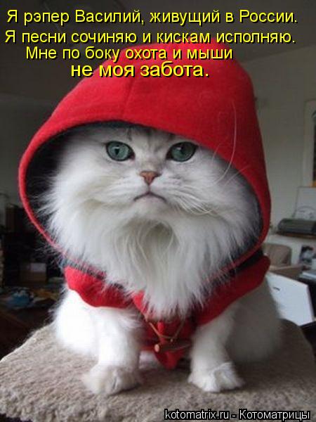 Я рэпер Василий, живущий в России. Я песни сочиняю и кискам исполняю. Мне по боку охота и мыши не мо... Котоматрица: Я рэпер Василий, живущий в России. Я песни сочиняю и кискам исполняю. Мне по боку охота и мыши не моя забота. Я дома украшени