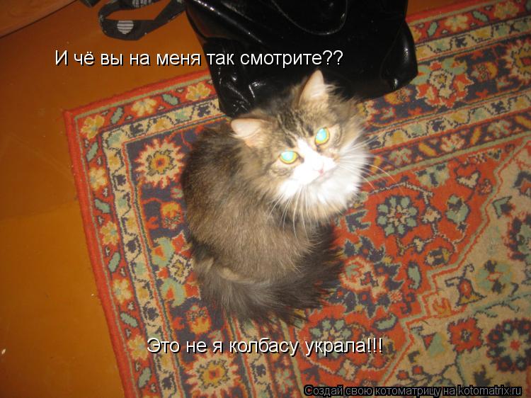 И чё вы на меня так смотрите?? Это не я колбасу украла!!!... Котоматрица: И чё вы на меня так смотрите?? Это не я колбасу украла!!!