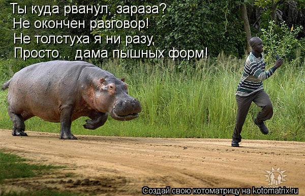 Ты куда рванул, зараза? Не окончен разговор! Не толстуха я ни разу, Просто... дама пышных форм!... Котоматрица: Ты куда рванул, зараза? Не окончен разговор! Не толстуха я ни разу, Просто... дама пышных форм!