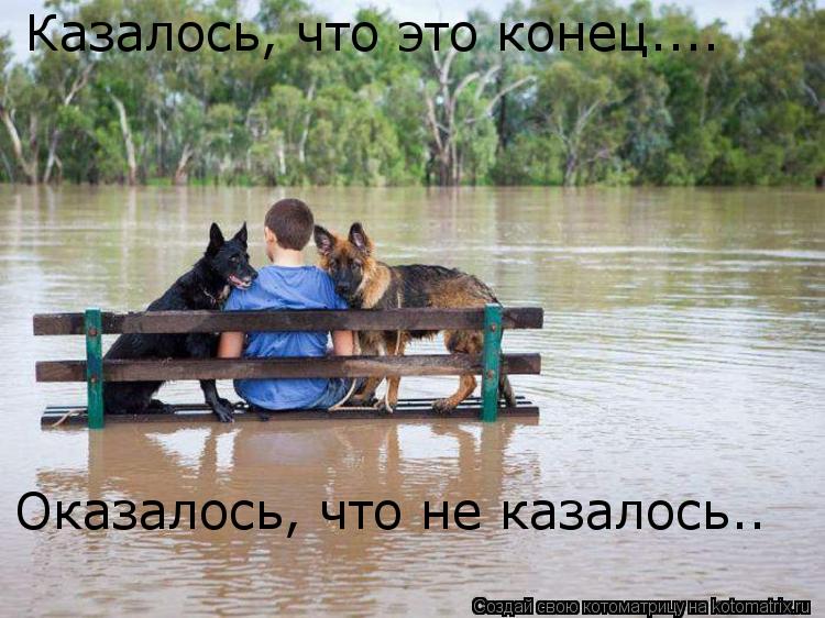 Казалось, что это конец.... Оказалось, что не казалось..... Котоматрица: Казалось, что это конец.... Оказалось, что не казалось..
