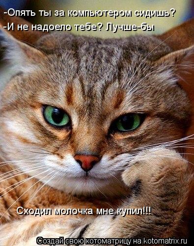 -Опять ты за компьютером сидишь? -И не надоело тебе? Лучше-бы Сходил молочка мне купил!!!... Котоматрица: -Опять ты за компьютером сидишь? -И не надоело тебе? Лучше-бы Сходил молочка мне купил!!!