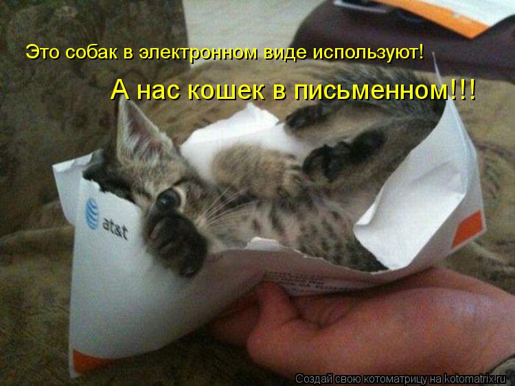 Это собак в электронном виде используют! А нас кошек в письменном!!!... Котоматрица: Это собак в электронном виде используют! А нас кошек в письменном!!!