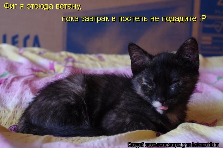 Фиг я отсюда встану, пока завтрак в постель не подадите :Р Фиг я отсюда встану, пока завтрак в посте... Котоматрица: Фиг я отсюда встану, пока завтрак в постель не подадите :Р Фиг я отсюда встану, пока завтрак в постель не подадите :Р