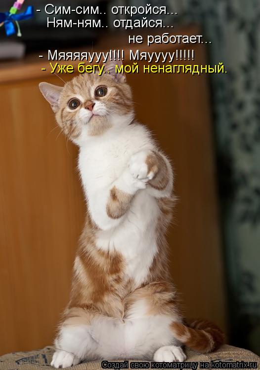 - Сим-сим.. откройся... Ням-ням.. отдайся... не работает... - Мяяяяууу!!!! Мяуууу!!!!! - Уже бегу.. м... Котоматрица: - Сим-сим.. откройся... Ням-ням.. отдайся... не работает... - Мяяяяууу!!!! Мяуууу!!!!! - Уже бегу.. мой ненаглядный.