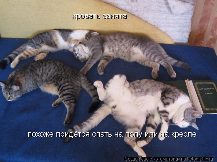 Котоматрица: кровать занята похоже придётся спать на полу или на кресле