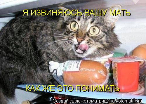 Я ИЗВИНЯЮСЬ ВАШУ МАТЬ КАК ЖЕ ЭТО ПОНИМАТЬ КАК ЖЕ ЭТО ПОНИМАТЬ... Котоматрица: Я ИЗВИНЯЮСЬ ВАШУ МАТЬ КАК ЖЕ ЭТО ПОНИМАТЬ КАК ЖЕ ЭТО ПОНИМАТЬ