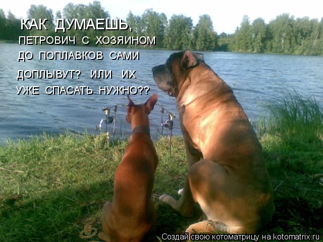 КАК ДУМАЕШЬ, ПЕТРОВИЧ С ХОЗЯИНОМ ДО ПОПЛАВКОВ САМИ УЖЕ СПАСАТЬ НУЖНО?? ДОПЛЫВУТ? ИЛИ ИХ... Котоматрица: КАК ДУМАЕШЬ, ПЕТРОВИЧ С ХОЗЯИНОМ ДО ПОПЛАВКОВ САМИ УЖЕ СПАСАТЬ НУЖНО?? ДОПЛЫВУТ? ИЛИ ИХ
