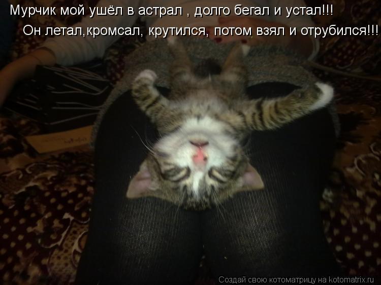 Мурчик мой ушёл в астрал , долго бегал и устал!!! Он летал,кромсал, крутился, потом взял и отрубилс... Котоматрица: Мурчик мой ушёл в астрал , долго бегал и устал!!! Он летал,кромсал, крутился, потом взял и отрубился!!!