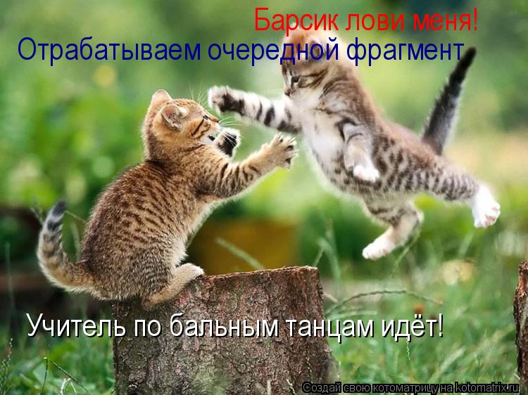 Барсик лови меня! Отрабатываем очередной фрагмент Учитель по бальным танцам идёт!... Котоматрица: Барсик лови меня! Отрабатываем очередной фрагмент Учитель по бальным танцам идёт!
