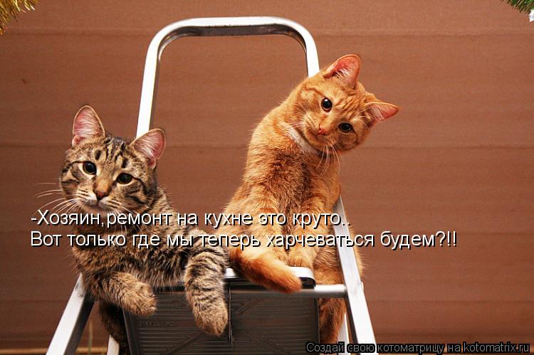 -Хозяин,ремонт на кухне это круто.. Вот только где мы теперь харчеваться будем?!!... Котоматрица: -Хозяин,ремонт на кухне это круто.. Вот только где мы теперь харчеваться будем?!!