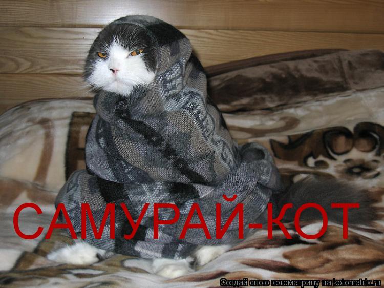 САМУРАЙ-КОТ... Котоматрица: САМУРАЙ-КОТ