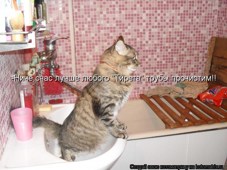 -Ничё,счас лучше любого "Тирета" трубы прочистим!!... Котоматрица: -Ничё,счас лучше любого "Тирета" трубы прочистим!!