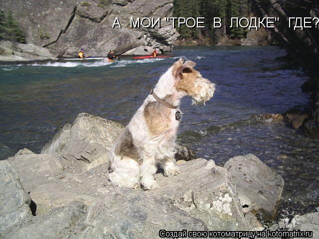 А МОИ "ТРОЕ В ЛОДКЕ" ГДЕ?... Котоматрица: А МОИ "ТРОЕ В ЛОДКЕ" ГДЕ?