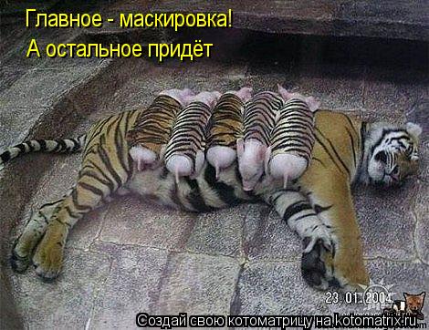 Котоматрица: Главное - маскировка! А остальное придёт
