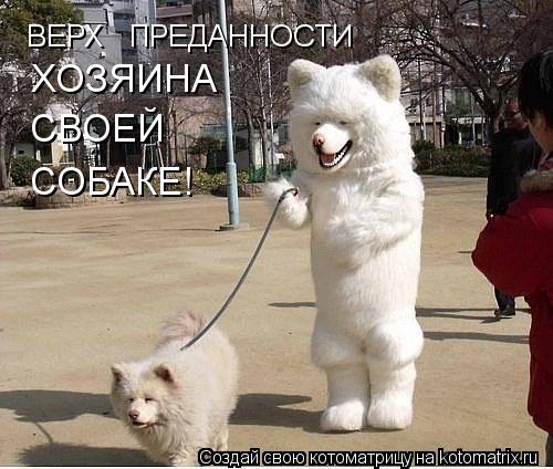 Котоматрица: ВЕРХ   ПРЕДАННОСТИ ХОЗЯИНА СВОЕЙ СОБАКЕ!