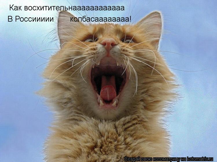 Котоматрица: Как восхитительнаааааааааааа В Россиииии       колбасаааааааа!