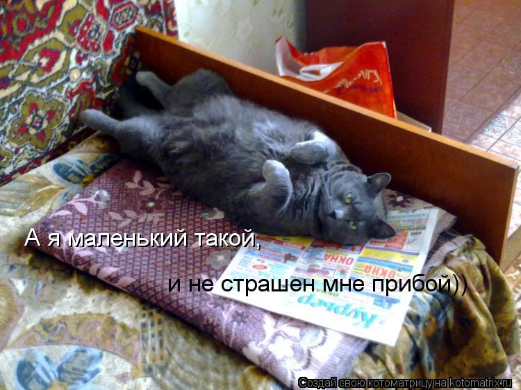Котоматрица: А я маленький такой,  и не страшен мне прибой))