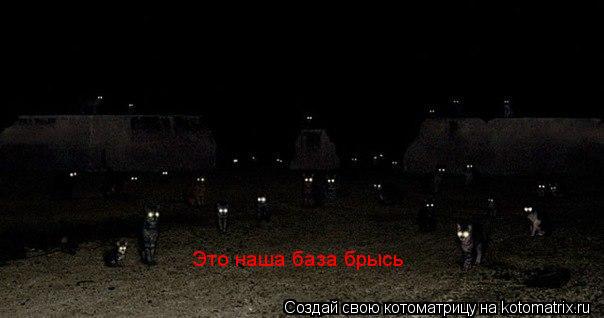 Котоматрица: Это наша база брысь
