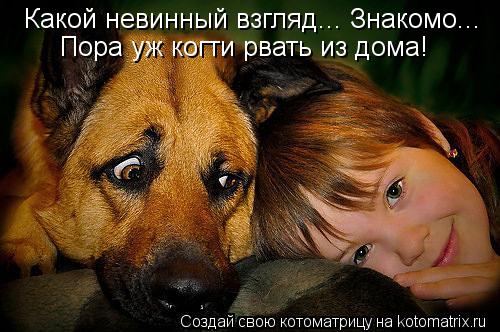 Котоматрица: Какой невинный взгляд... Знакомо... Пора уж когти рвать из дома!