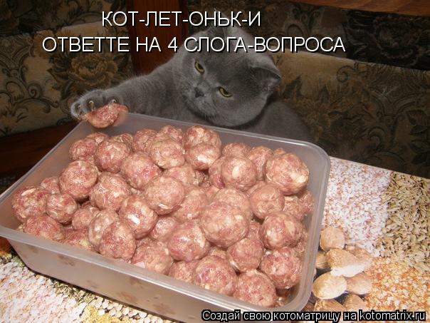 Котоматрица: КОТ-ЛЕТ-ОНЬК-И ОТВЕТТЕ НА 4 СЛОГА-ВОПРОСА