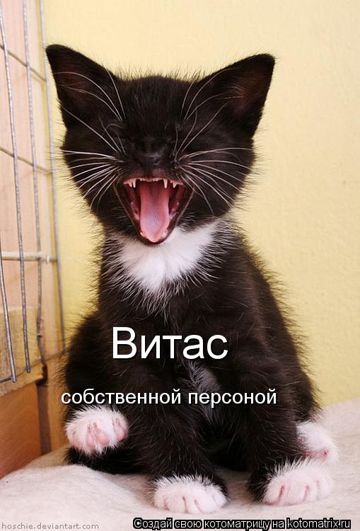 Котоматрица: Витас собственной персоной