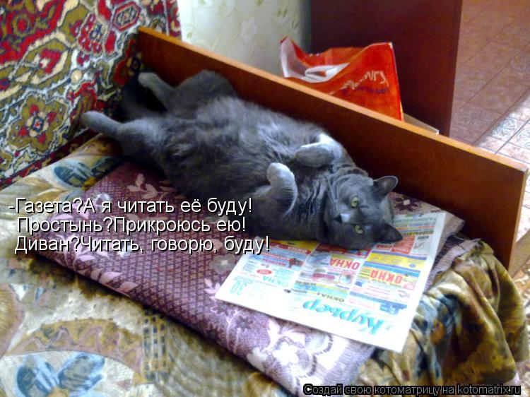 -Газета?А я читать её буду! Простынь?Прикроюсь ею! Диван?Читать, говорю, буду!... Котоматрица: -Газета?А я читать её буду! Простынь?Прикроюсь ею! Диван?Читать, говорю, буду!