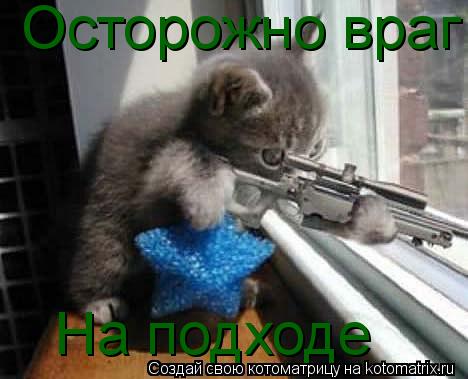 Осторожно враг На подходе... Котоматрица: Осторожно враг На подходе