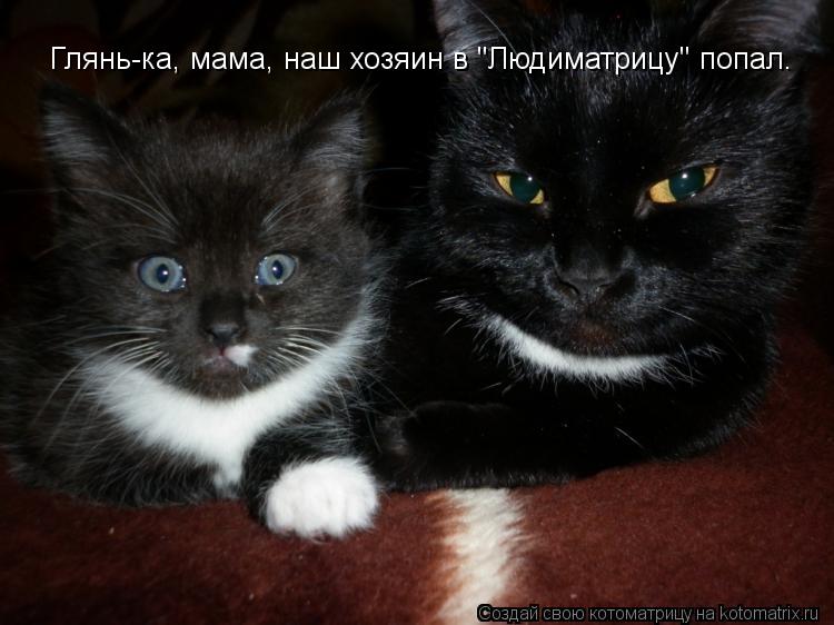 Глянь-ка, мама, наш хозяин в "Людиматрицу" попал.... Котоматрица: Глянь-ка, мама, наш хозяин в "Людиматрицу" попал.