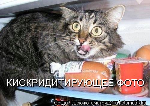КИСКРИДИТИРУЮЩЕЕ ФОТО... Котоматрица: КИСКРИДИТИРУЮЩЕЕ ФОТО