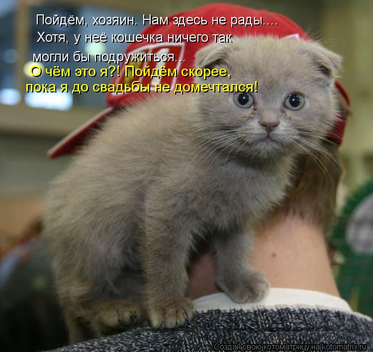 Пойдём, хозяин. Нам здесь не рады.... Хотя, у неё кошечка ничего так могли бы подружиться... О чём эт... Котоматрица: Пойдём, хозяин. Нам здесь не рады.... Хотя, у неё кошечка ничего так могли бы подружиться... О чём это я?! Пойдём скорее, пока я до свадьбы не дом