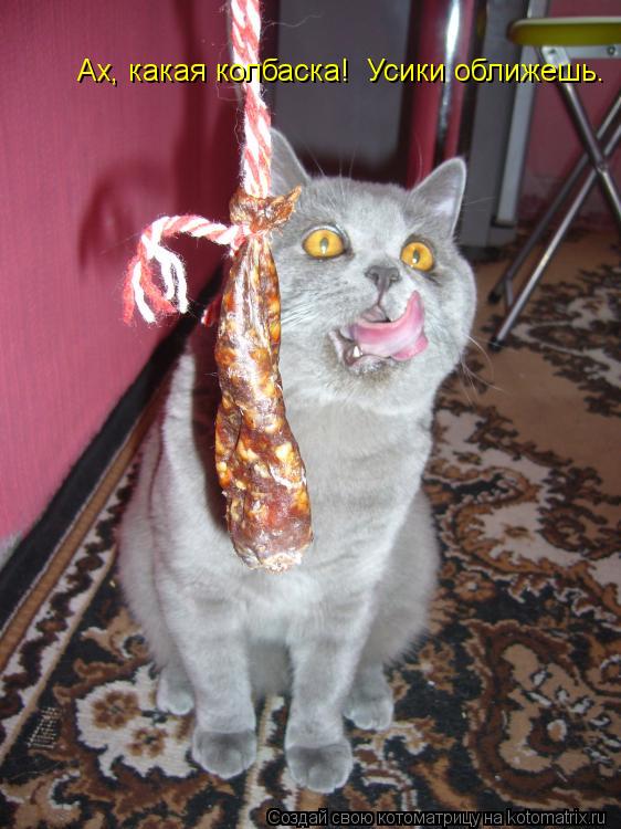 Котоматрица: Ах, какая колбаска!  Усики оближешь.