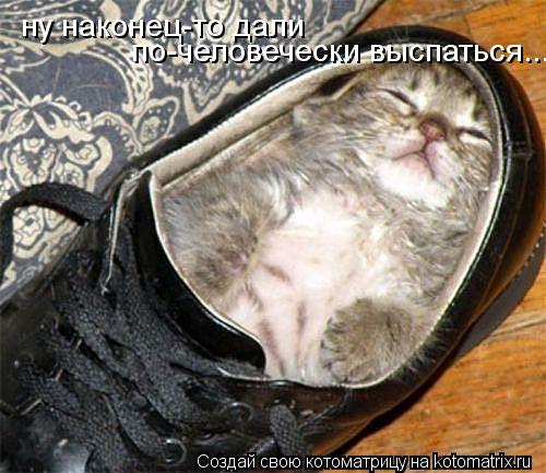 ну наконец-то дали по-человечески выспаться...... Котоматрица: ну наконец-то дали по-человечески выспаться...