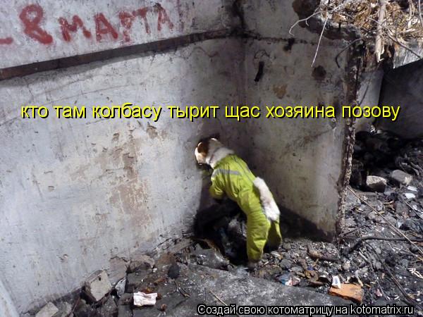 Котоматрица: кто там колбасу тырит щас хозяина позову