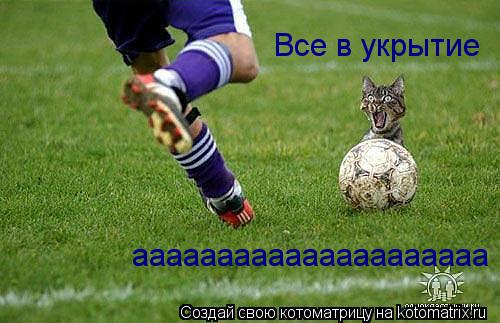 Котоматрица: Все в укрытие ааааааааааааааааааааа